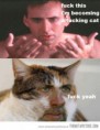 /album/%cf%86%cf%89%cf%84%ce%bf%ce%b3%ce%ba%ce%b1%ce%bb%ce%b5%cf%81%ce%af%3a-home/funny-nicolas-cage-cat-jpg/